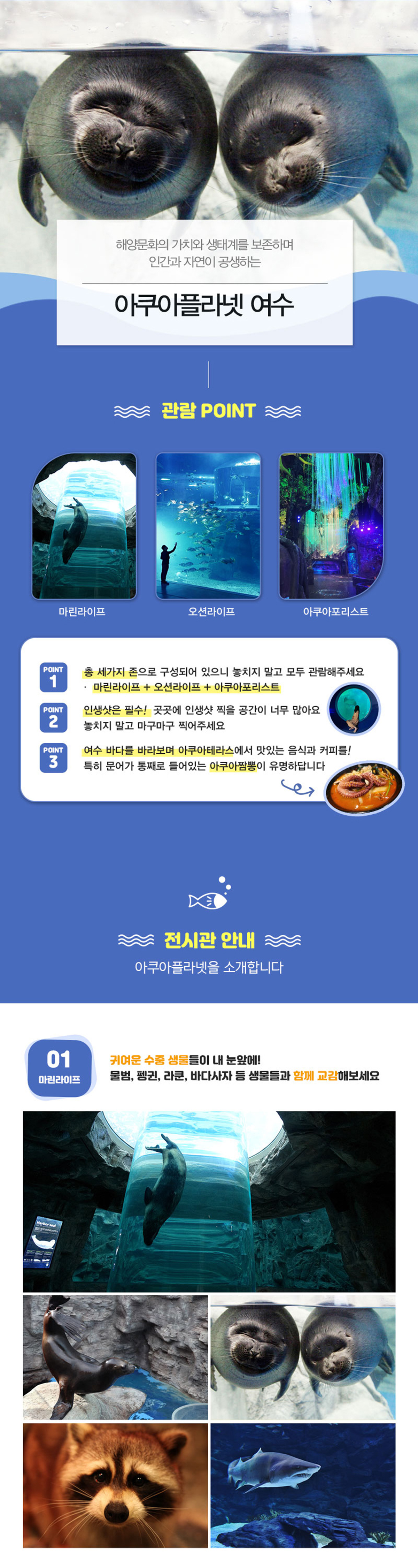 page_여수_03.jpg